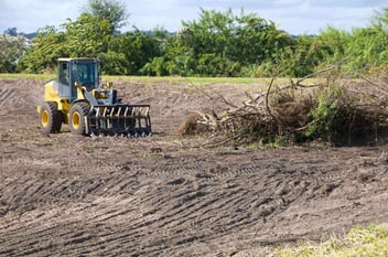 Construction in wetland area