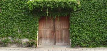 Wooden Door Covered with Green