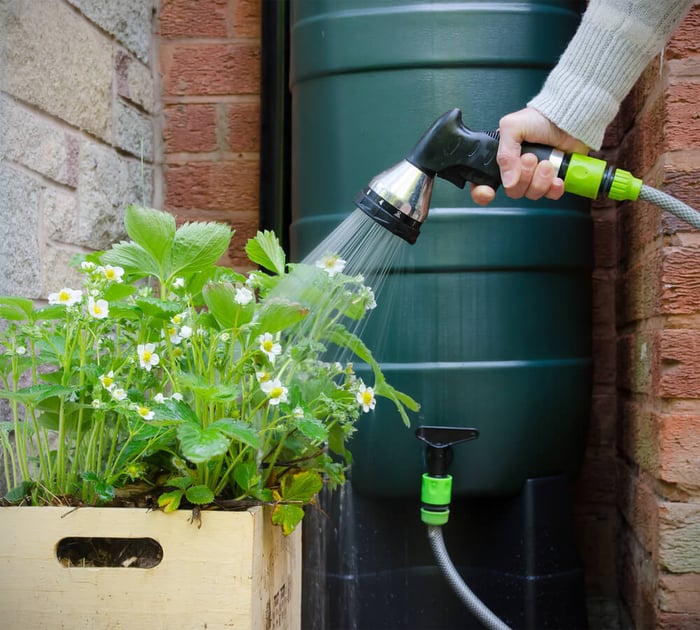 SS_rainwater tank-watering plants