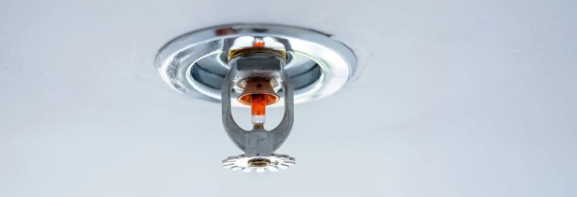 5 Ways to Protect IT Equipment from Sprinkler Damage