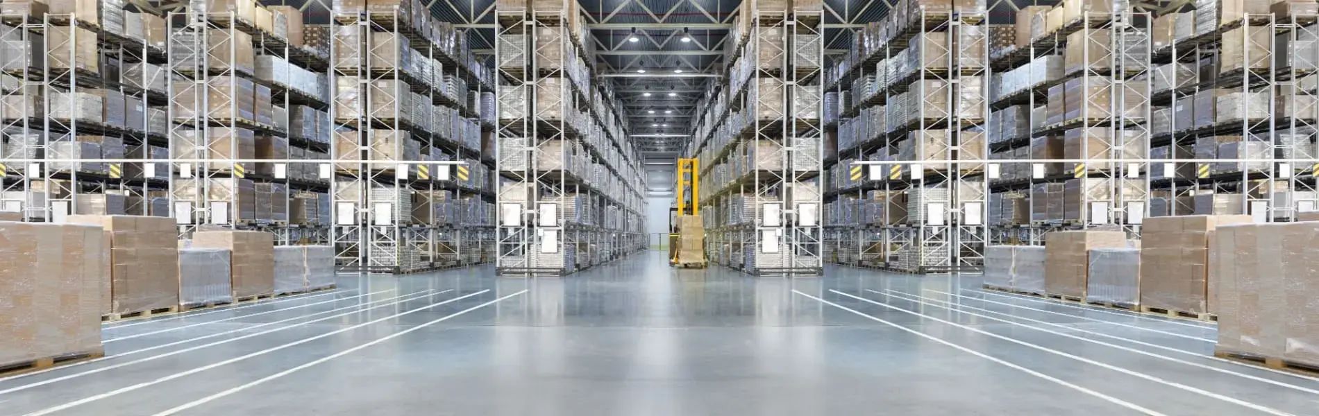 Maximizing Efficiency: How to Organize Your Warehouse Like a Pro